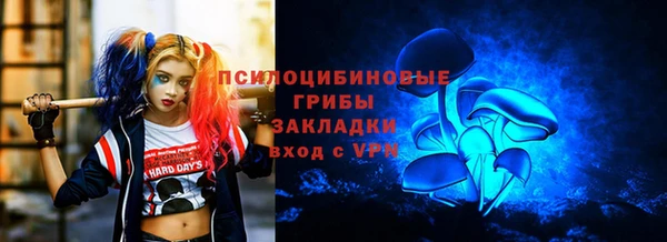 прущий лед Бронницы