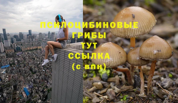 прущий лед Бронницы