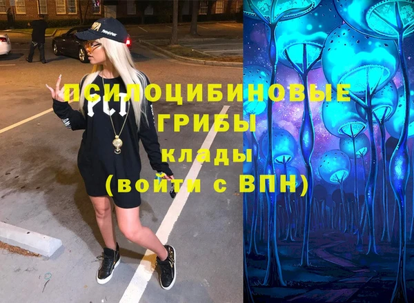 прущий лед Бронницы
